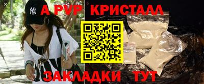 соль ск Новозыбков
