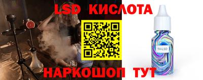 соль ск Новозыбков