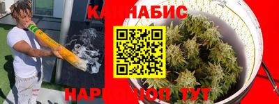 соль ск Новозыбков