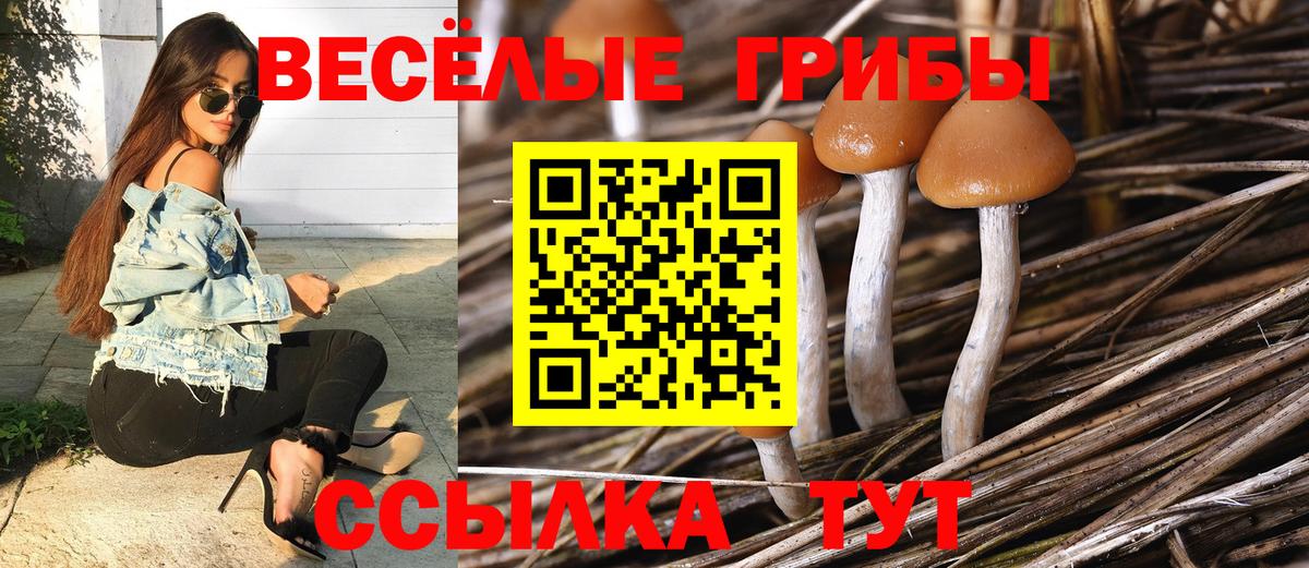 Галлюциногенные грибы мицелий Серов