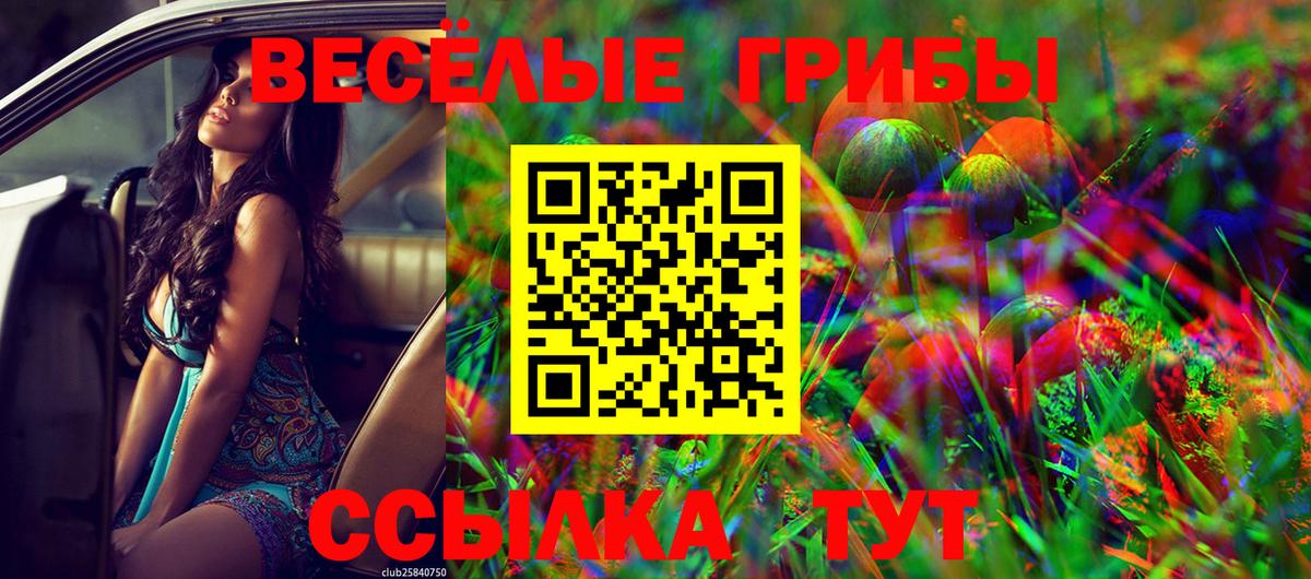 Серов  Псилоцибиновые грибы прущие грибы  Вход с VPN  Галлюциногенные грибы мицелий 